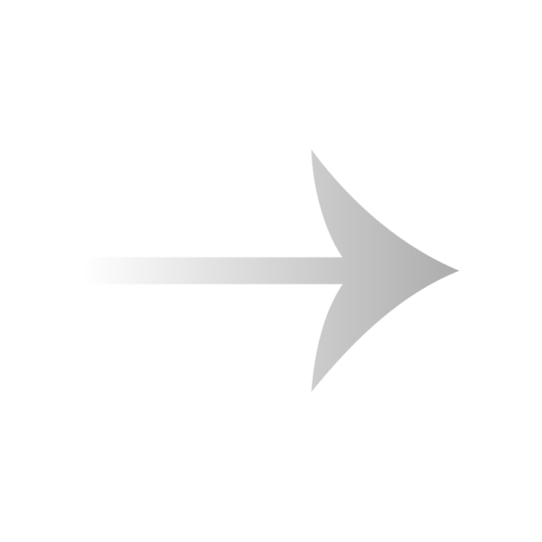 grayarrow NG Career Strategy