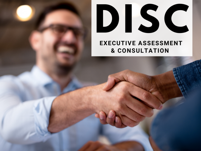 DISC-Assessment-Consultation-Executive